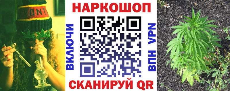 Галлюциногенные грибы Новоржев