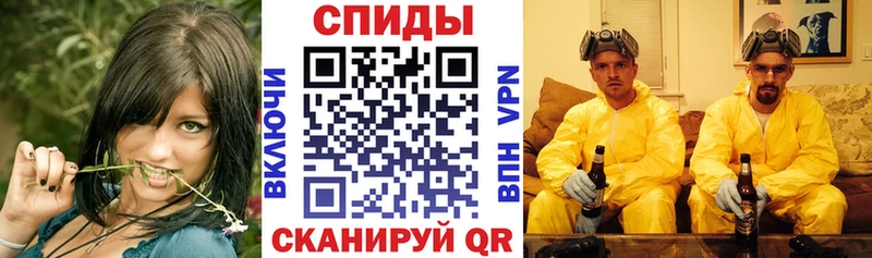 где купить наркоту  Новоржев  Amphetamine 98% 