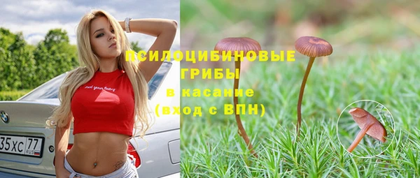 стафф Балахна