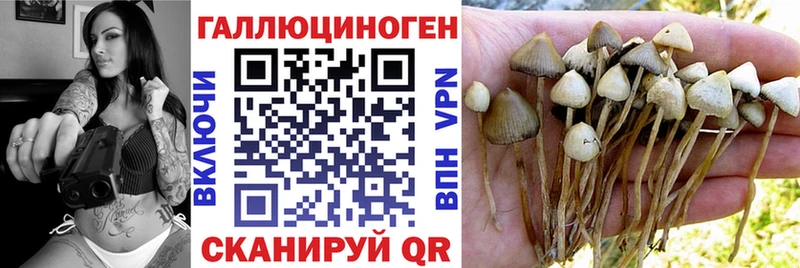 Псилоцибиновые грибы мицелий Новоржев