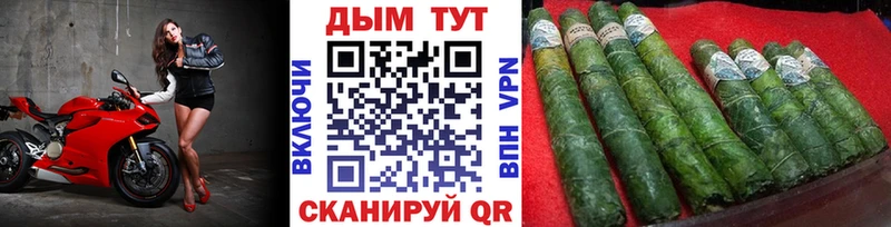 купить наркоту  Новоржев  мега tor  Марихуана White Widow 
